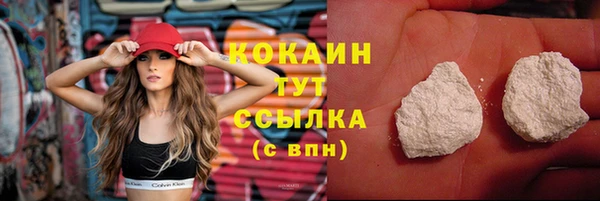 кокс Алексин