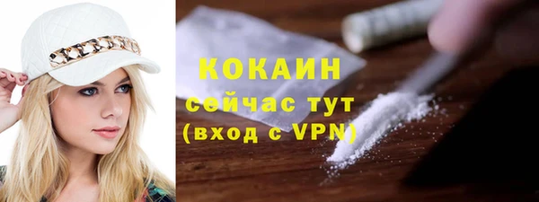 кокс Алексин
