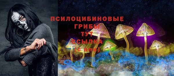 a pvp Алзамай